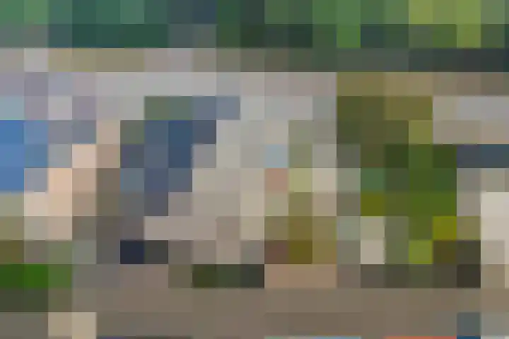 Meppelerweg 64 Steenwijk thumbnail 31