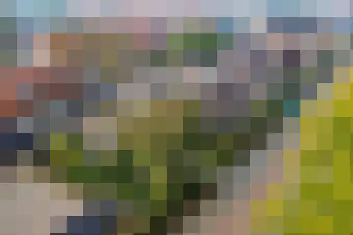 Meppelerweg 64 Steenwijk thumbnail 32