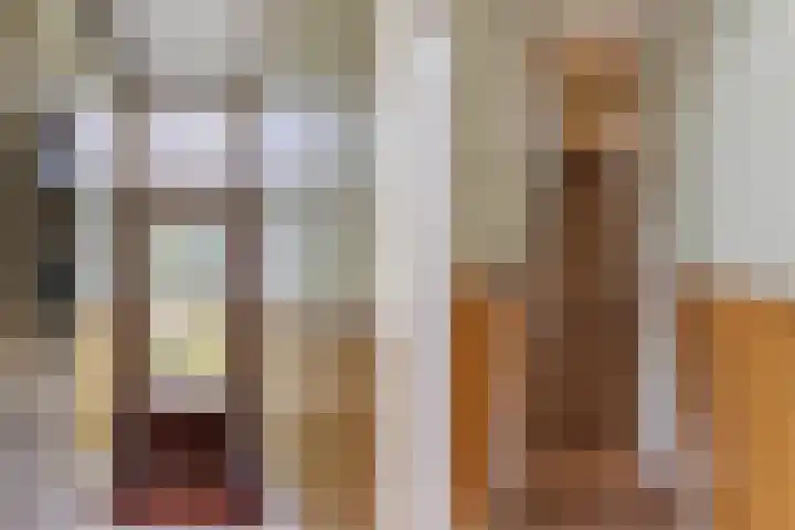 Meppelerweg 64 Steenwijk thumbnail 4
