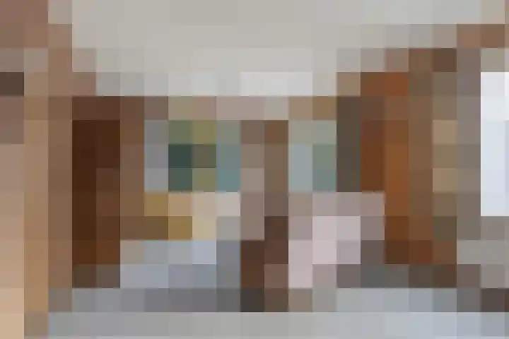 Meppelerweg 64 Steenwijk thumbnail 5