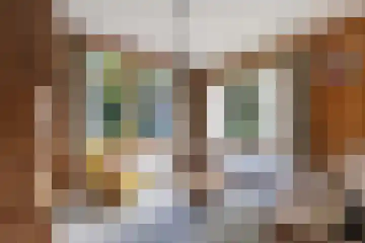 Meppelerweg 64 Steenwijk thumbnail 6