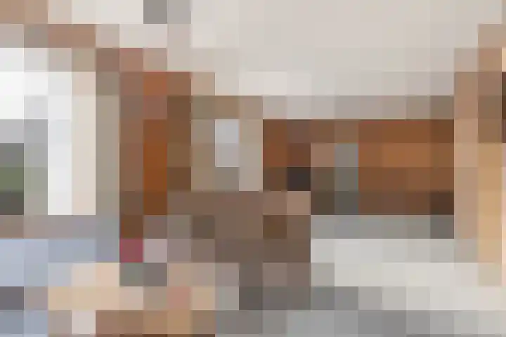 Meppelerweg 64 Steenwijk thumbnail 7