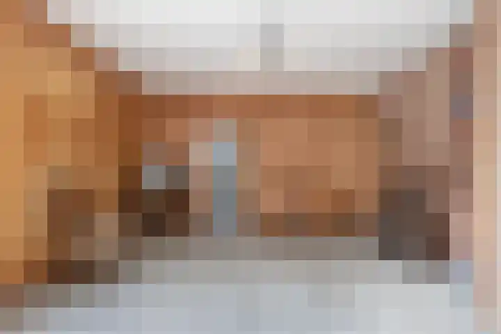 Meppelerweg 64 Steenwijk thumbnail 8