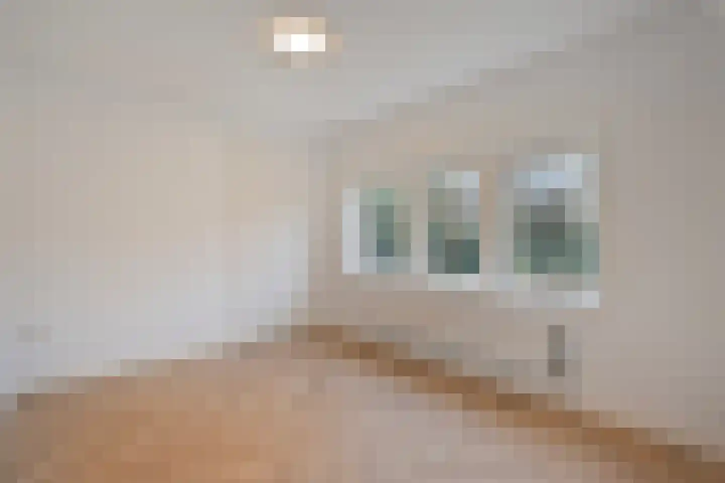 Meppelerweg 72 Steenwijk thumbnail 24