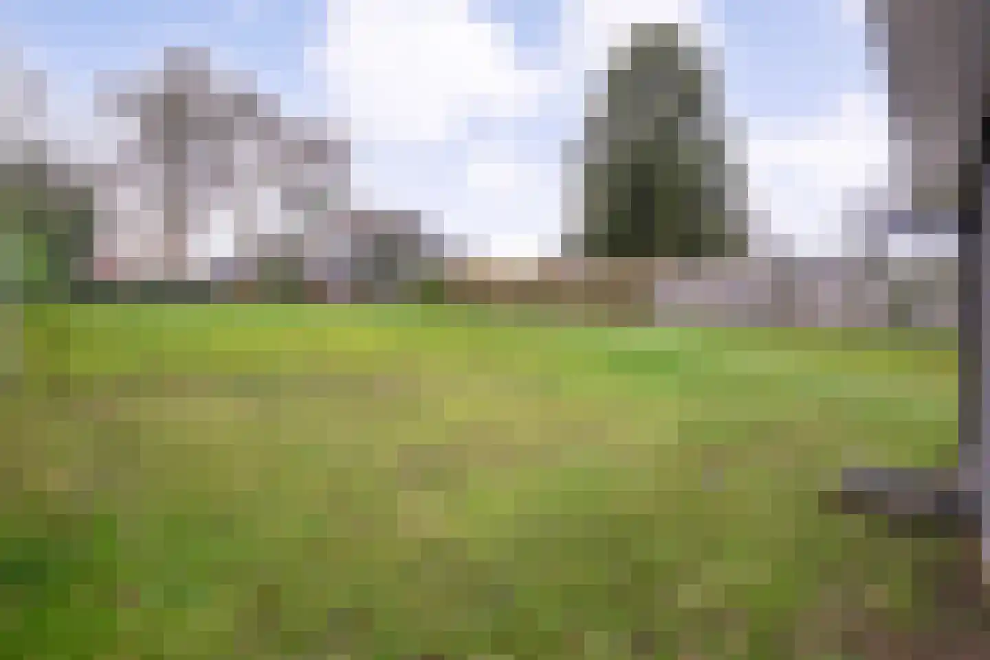Meppelerweg 72 Steenwijk thumbnail 32