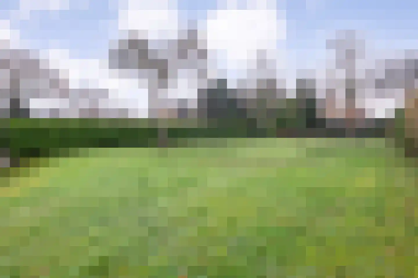 Meppelerweg 72 Steenwijk thumbnail 34