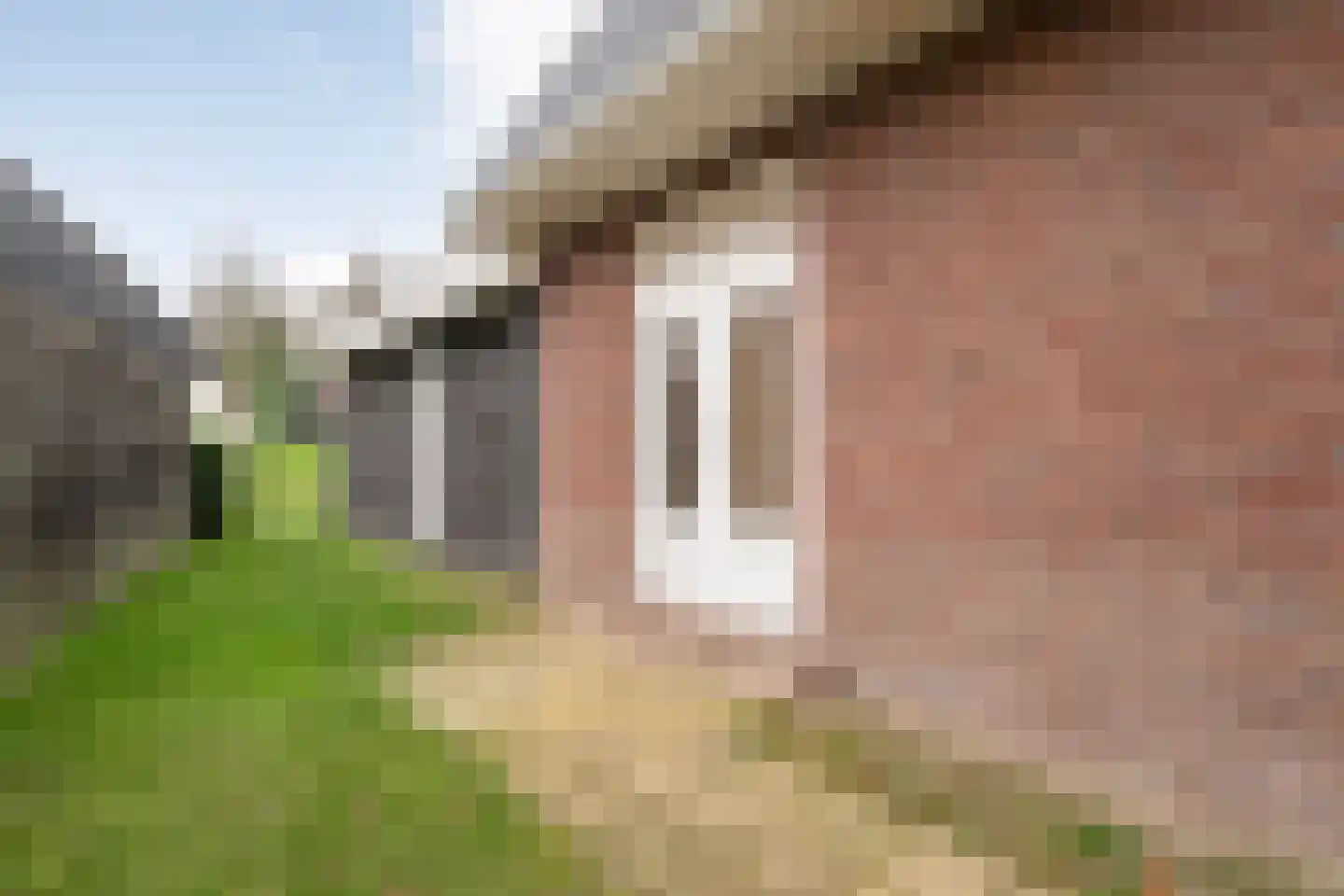 Meppelerweg 72 Steenwijk thumbnail 39