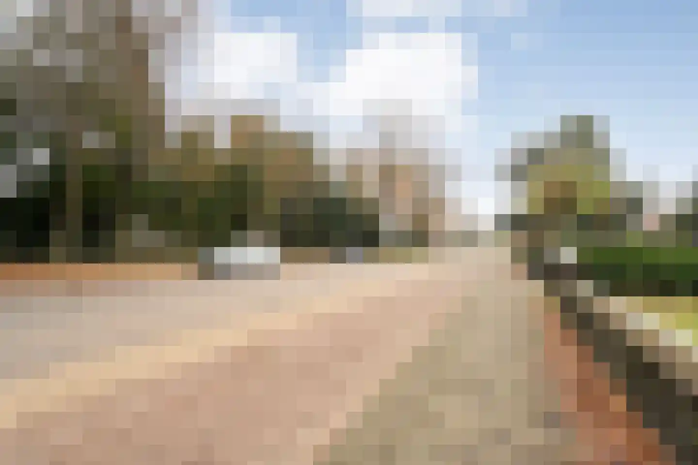Meppelerweg 72 Steenwijk thumbnail 41