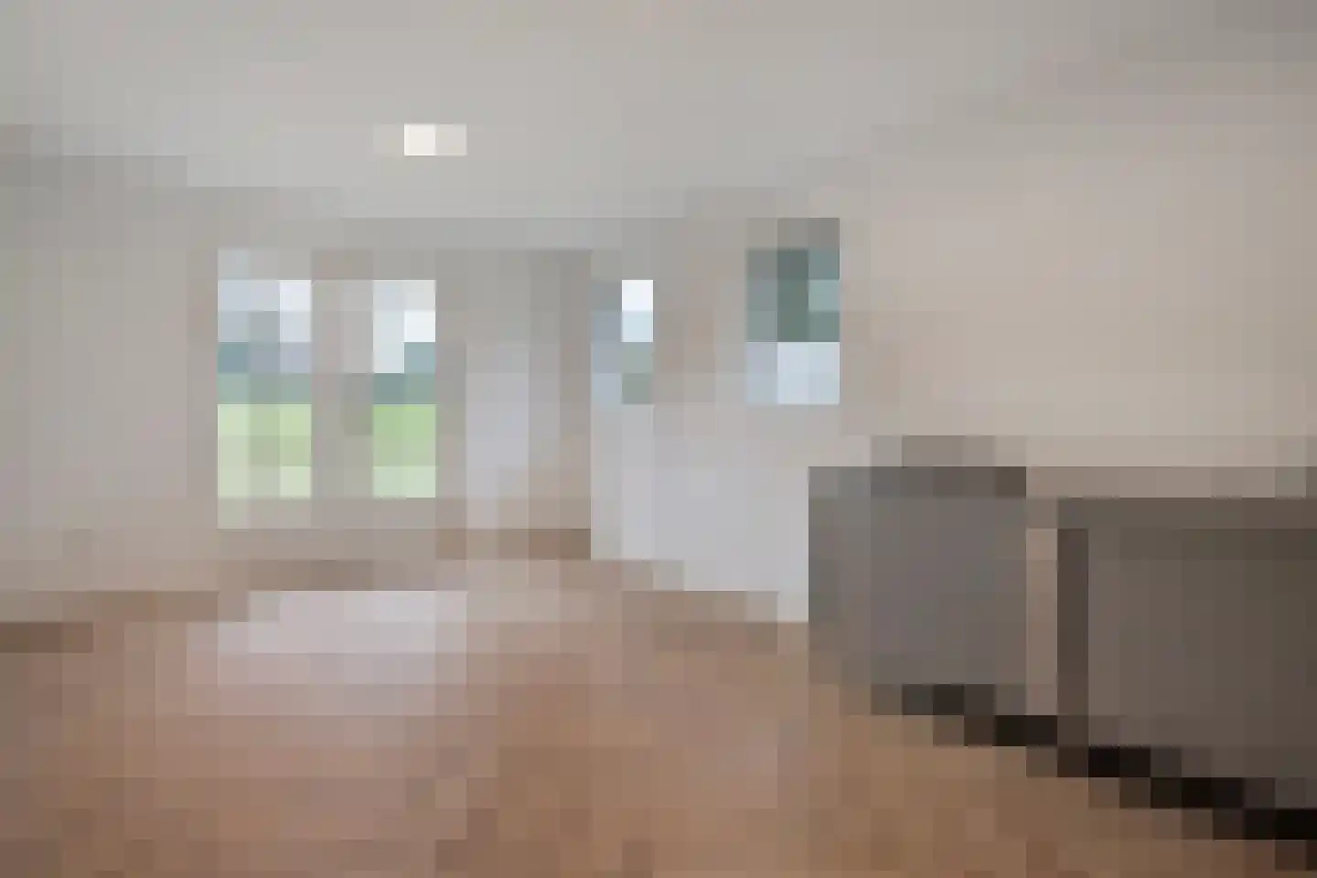 Meppelerweg 72 Steenwijk thumbnail 9