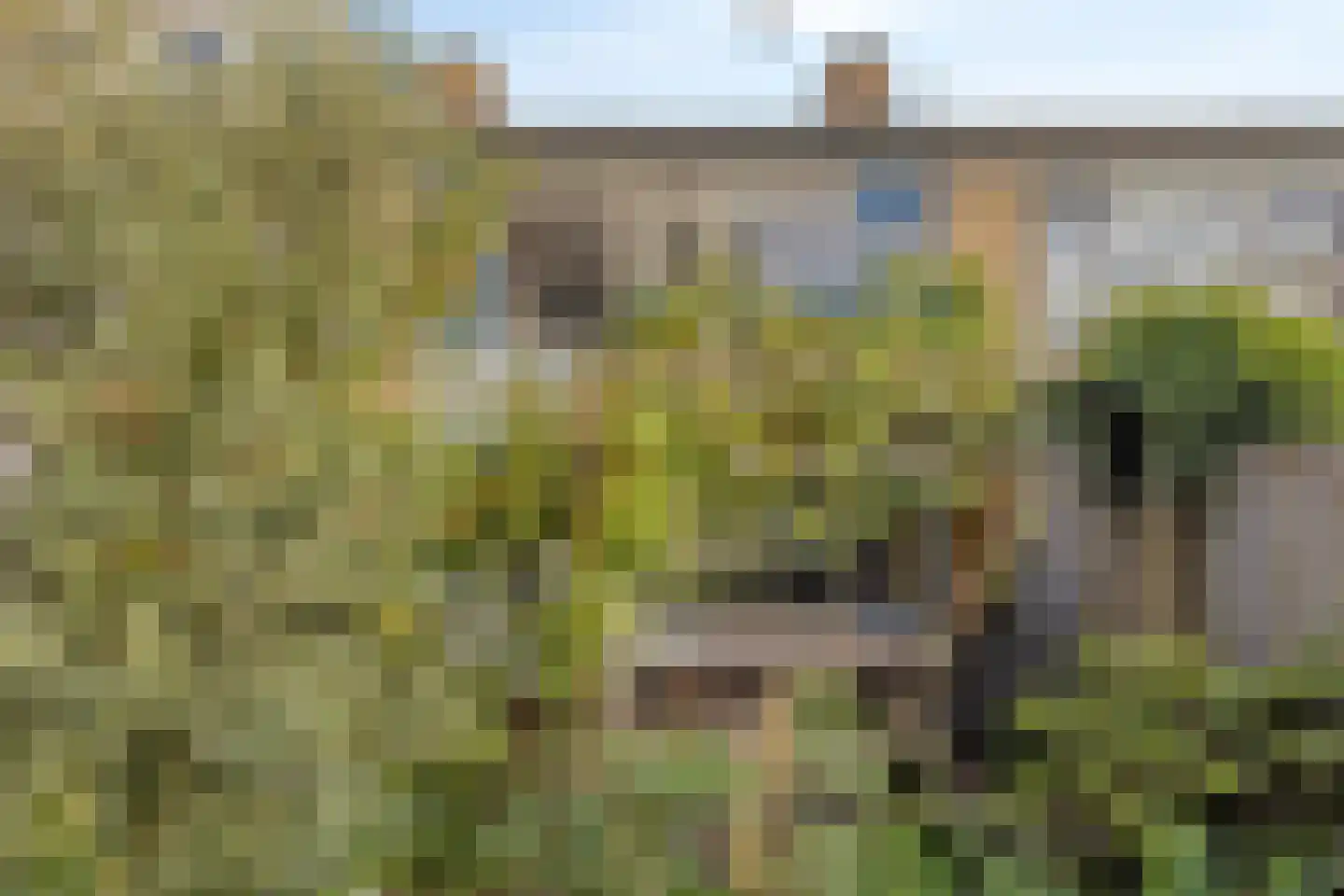 Meppelrade 109 Den Haag thumbnail 4