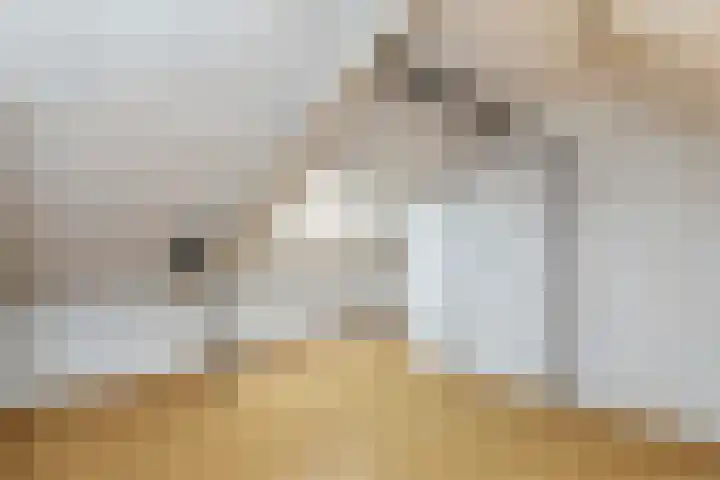 Meppelrade 16 Den Haag thumbnail 33