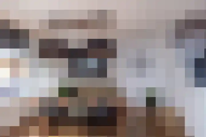 Meppelrade 16 Den Haag thumbnail 9