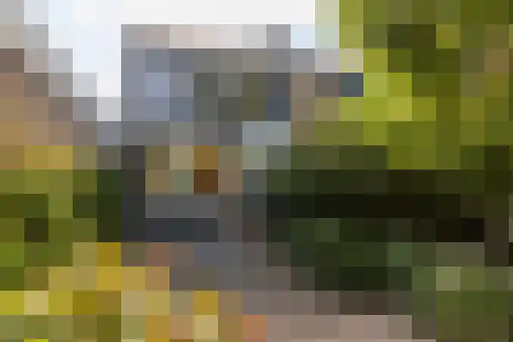 Meppelrade 231 Den Haag thumbnail 4