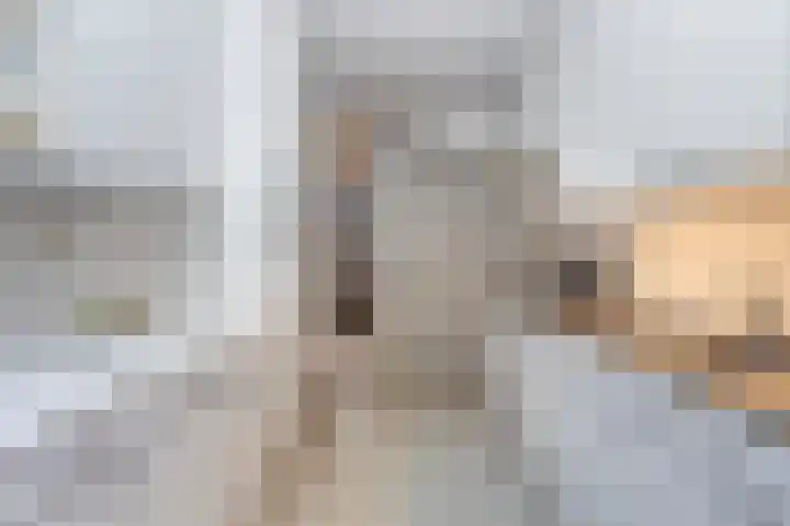 Meppelrade 231 Den Haag thumbnail 7