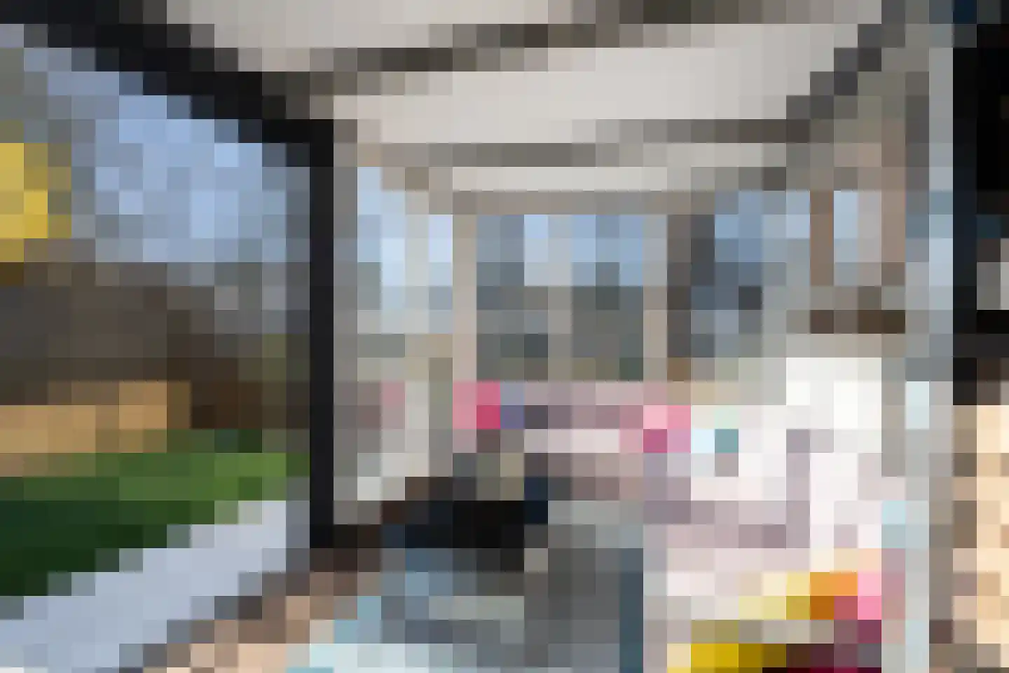 Meppelrade 97 Den Haag thumbnail 27