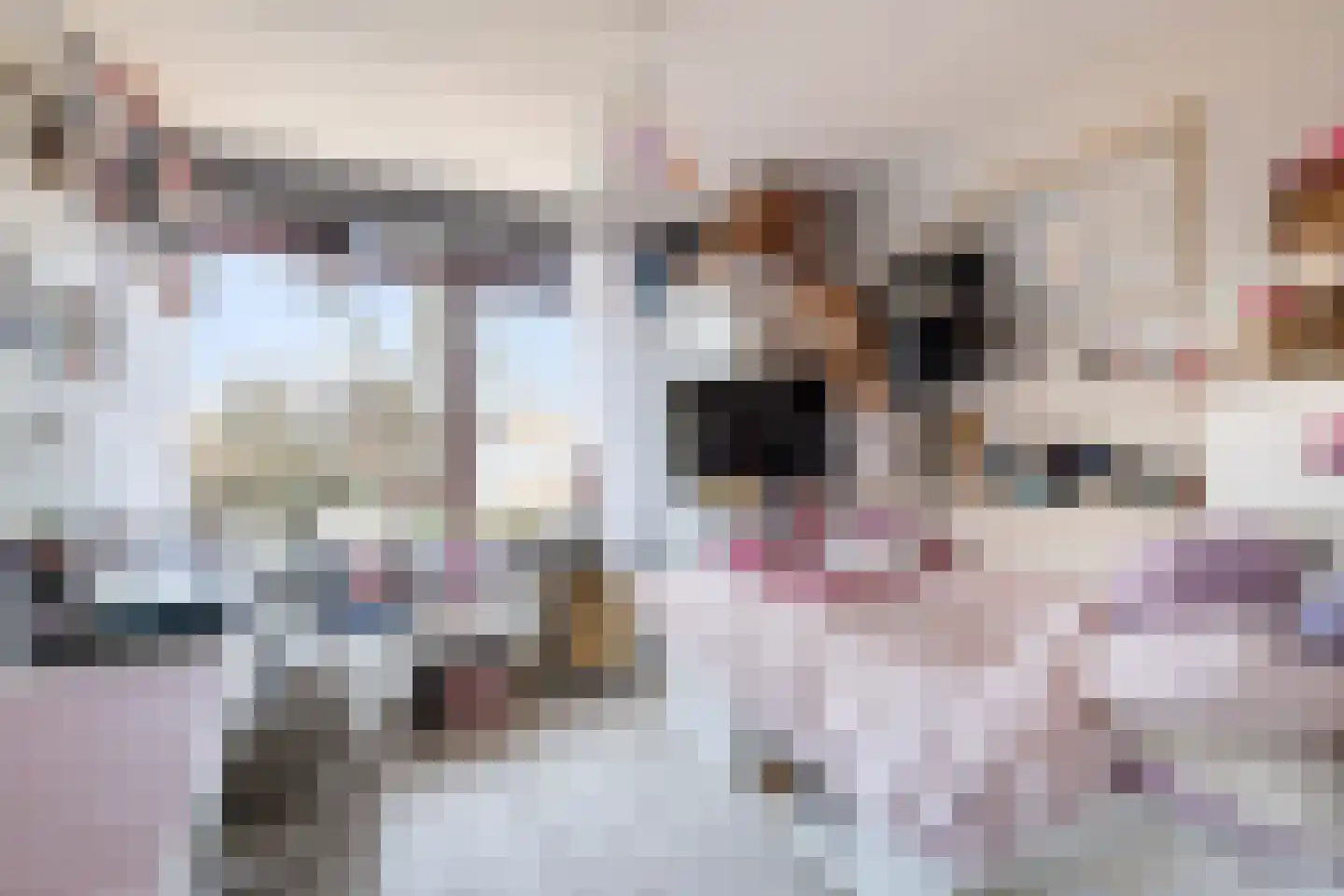 Meppelrade 97 Den Haag thumbnail 31