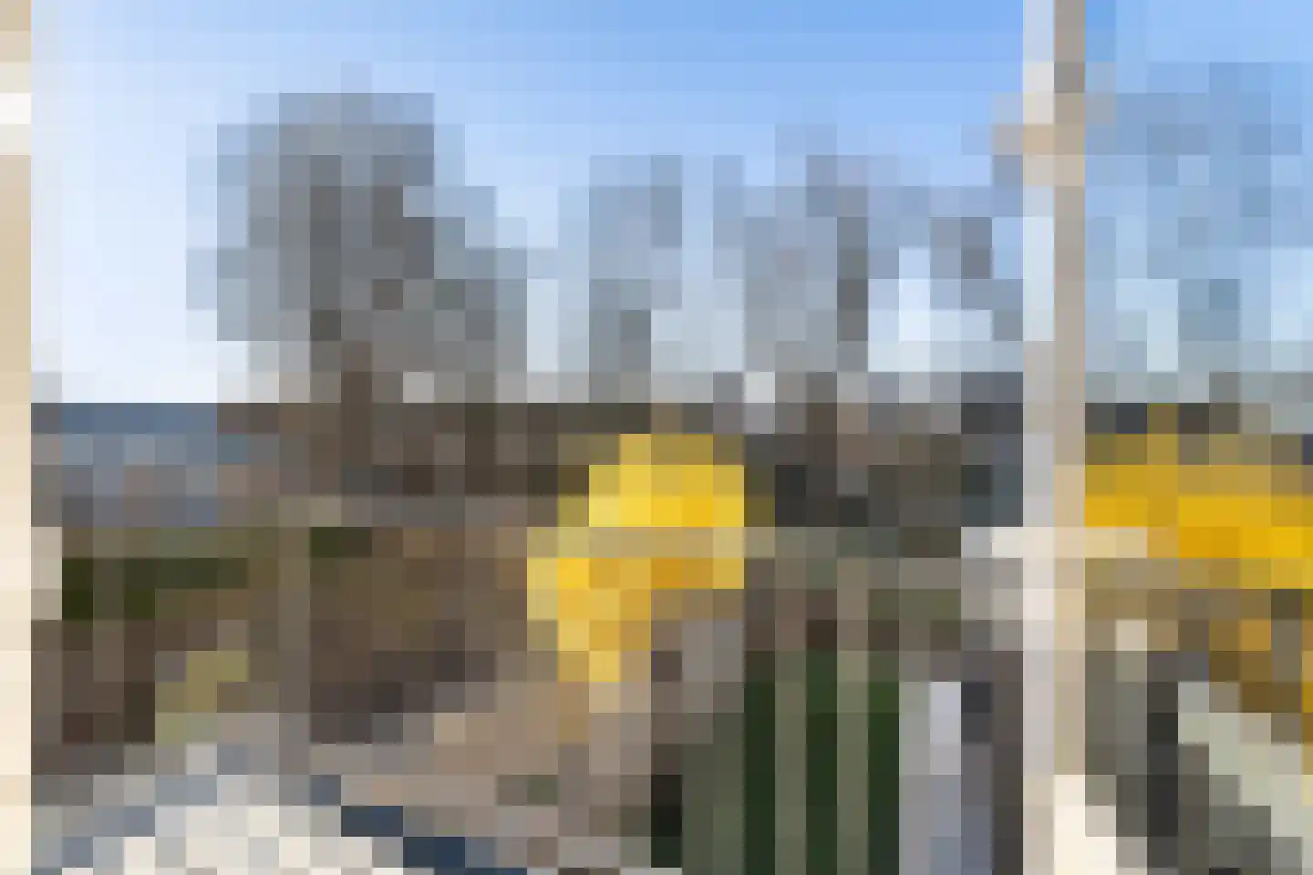 Meppelrade 97 Den Haag thumbnail 36