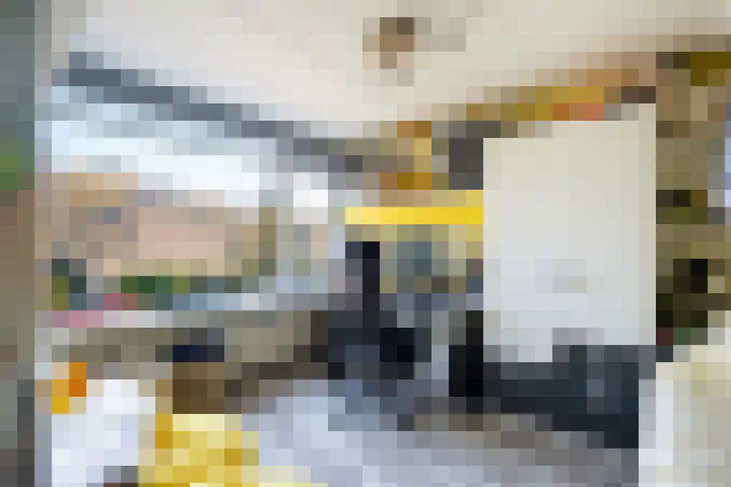 Meppelrade 97 Den Haag thumbnail 38