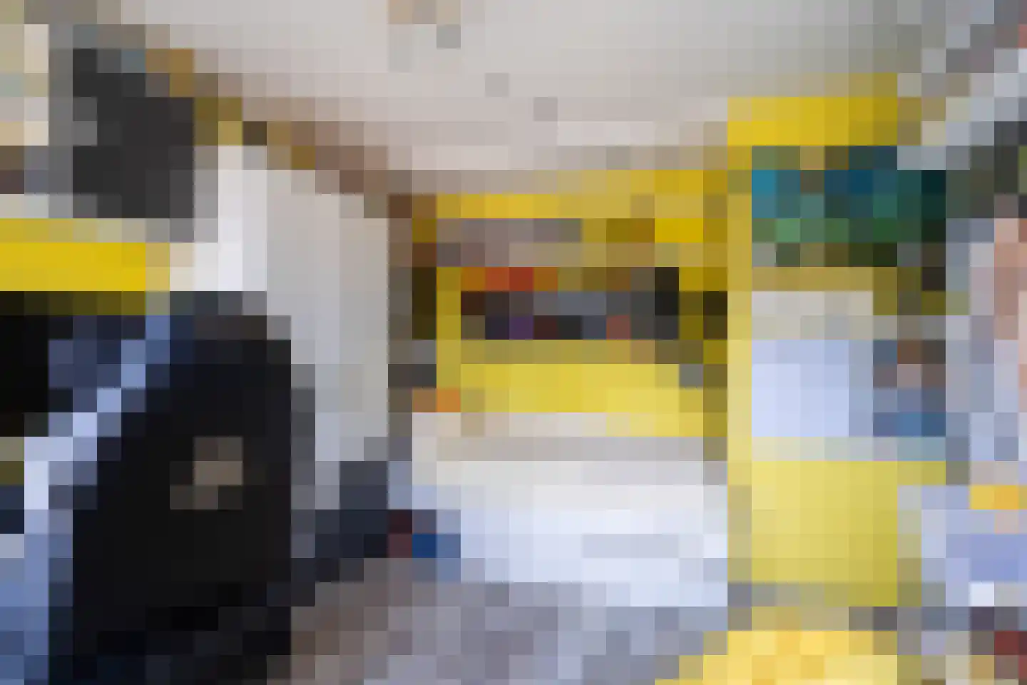 Meppelrade 97 Den Haag thumbnail 39