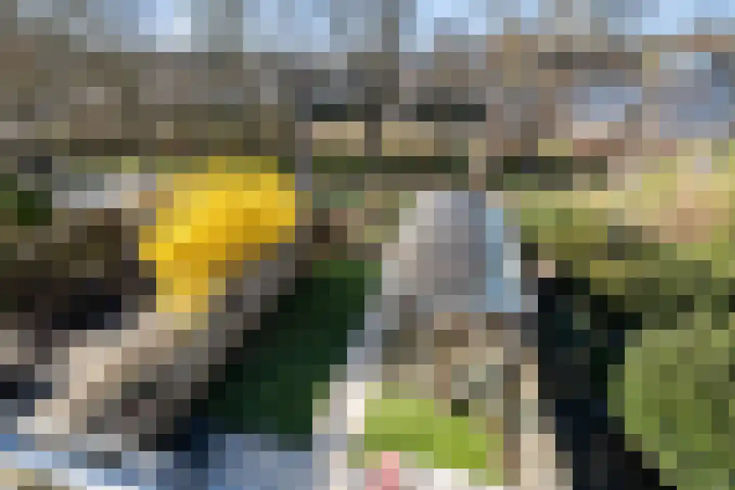 Meppelrade 97 Den Haag thumbnail 52
