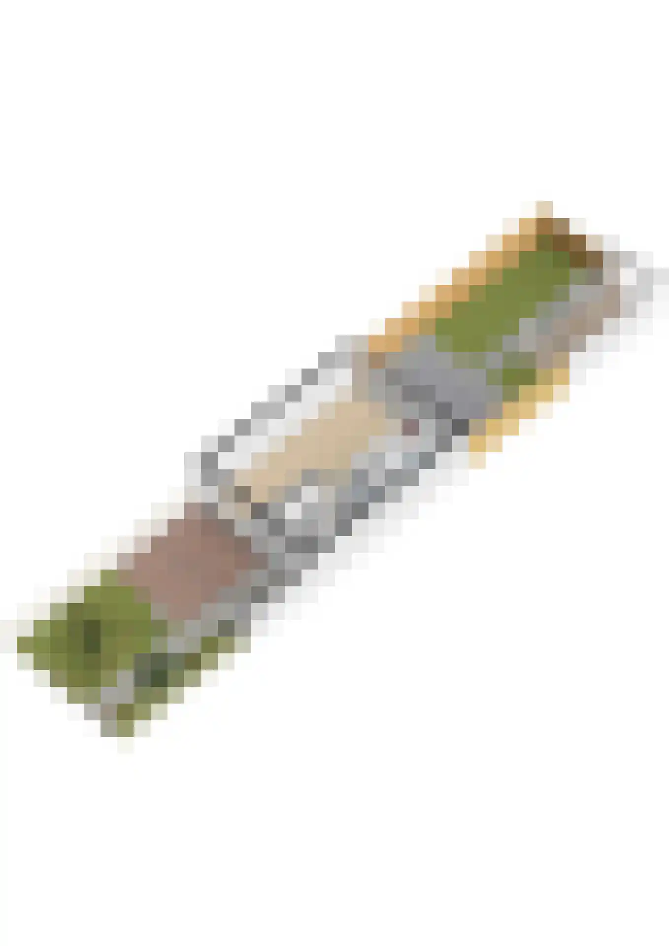 Meppelrade 97 Den Haag thumbnail 57