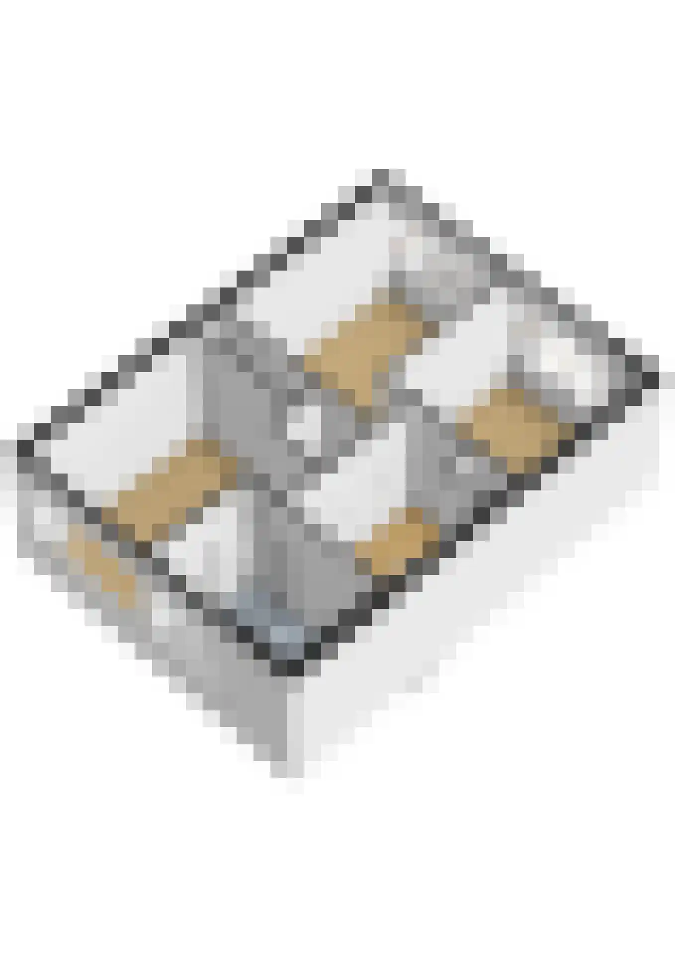 Meppelrade 97 Den Haag thumbnail 61