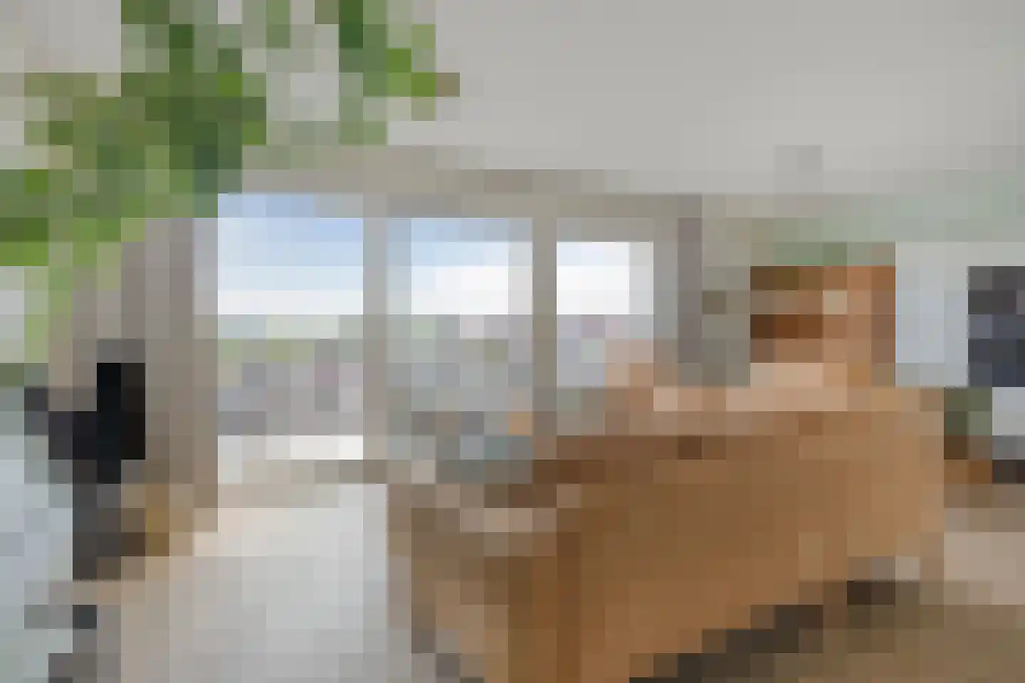 Meppelweg 620 Den Haag thumbnail 4