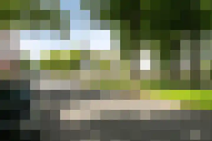 Meppelweg 662 Den Haag thumbnail 34