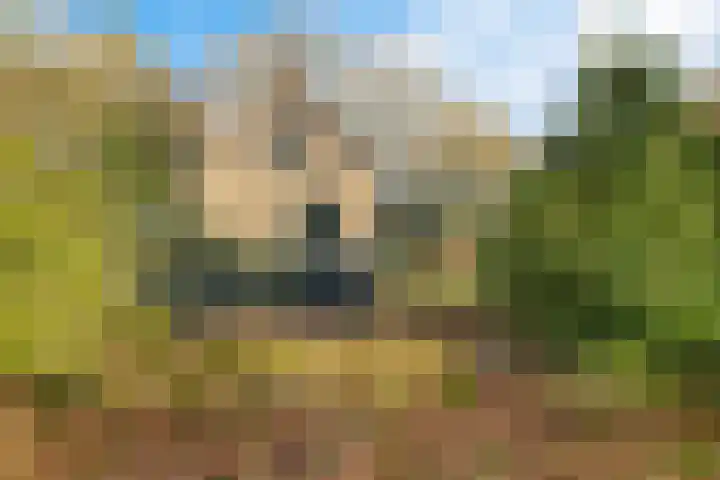 Mepperdennenweg 3 Meppen thumbnail 33