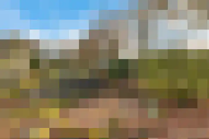 Mepperdennenweg 3 Meppen thumbnail 34