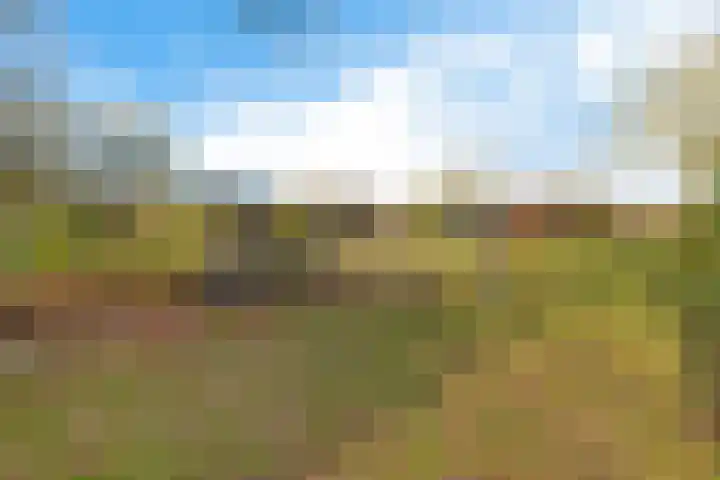 Mepperdennenweg 3 Meppen thumbnail 35