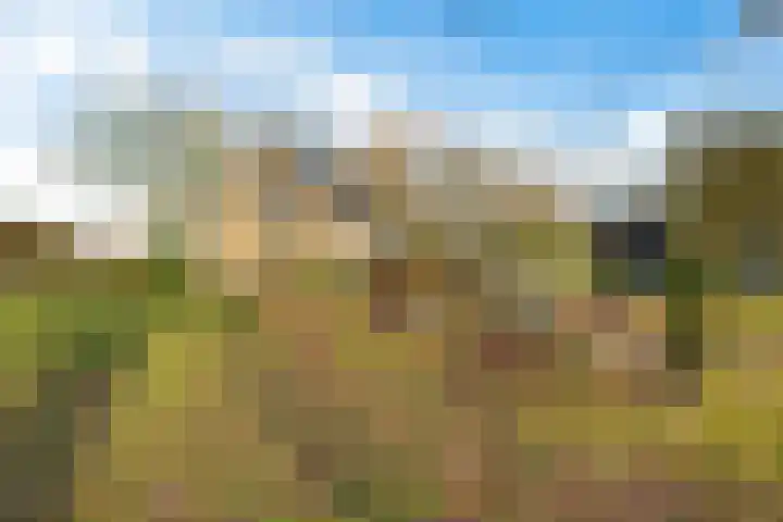 Mepperdennenweg 3 Meppen thumbnail 36