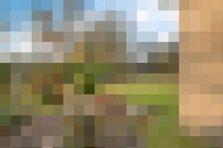 Mepperdennenweg 3 Meppen thumbnail 37