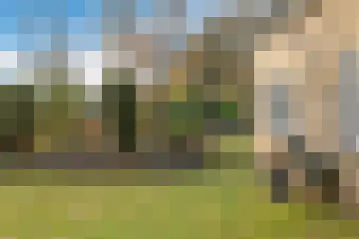 Mepperdennenweg 3 Meppen thumbnail 41