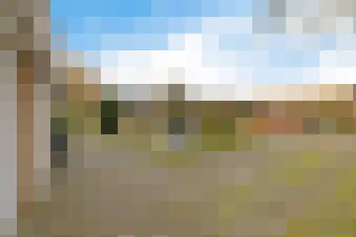 Mepperdennenweg 3 Meppen thumbnail 42