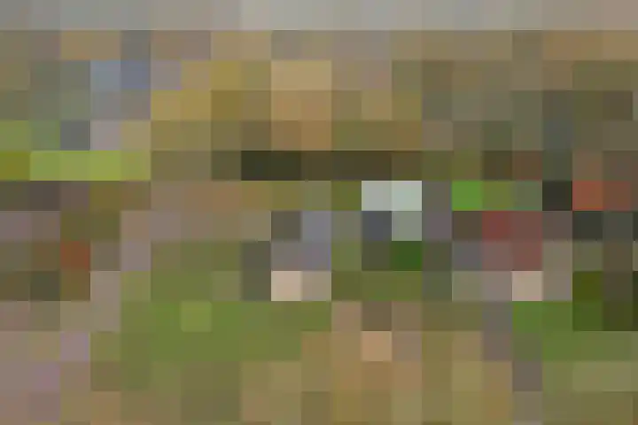 Mepperdennenweg 3 Meppen thumbnail 43