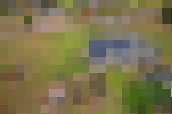 Mepperdennenweg 3 Meppen thumbnail 46