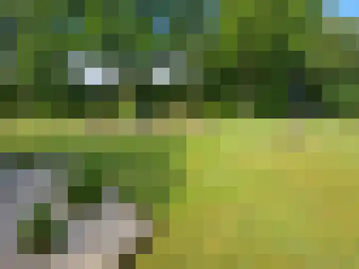Mepperdennenweg 3 Meppen thumbnail 53