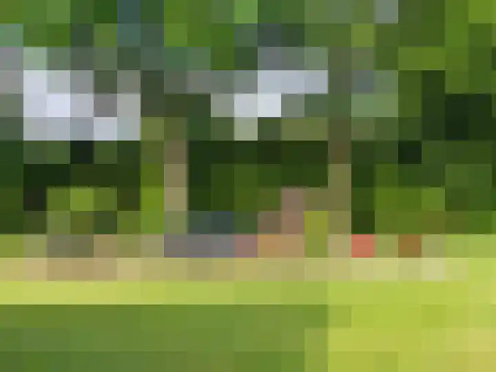 Mepperdennenweg 3 Meppen thumbnail 54
