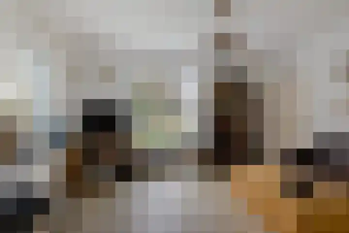 Mepperdennenweg 3 Meppen thumbnail 7
