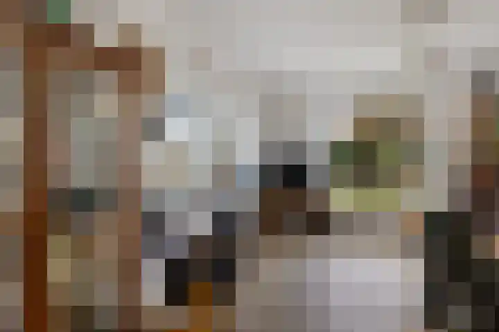 Mepperdennenweg 3 Meppen thumbnail 8