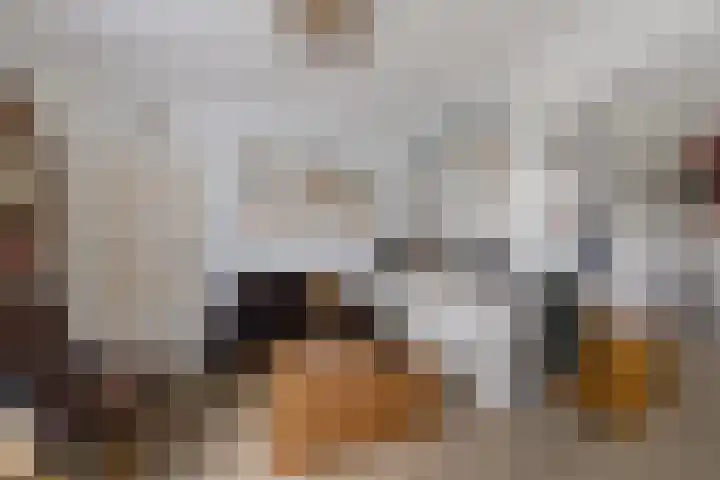 Mepperdennenweg 3 Meppen thumbnail 9
