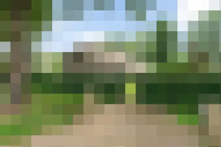 Mepperstraat 1 Meppen thumbnail 5