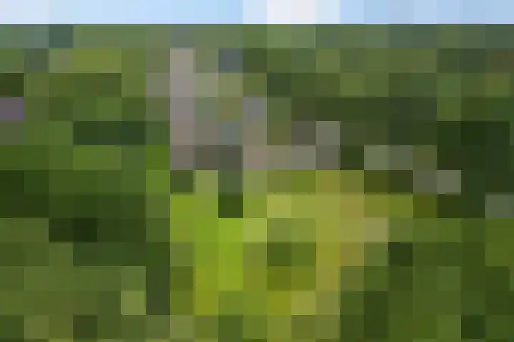 Mepperstraat 1 Meppen thumbnail 61