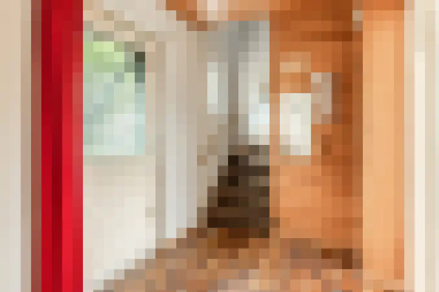 Mepperstraat 25 Meppen thumbnail 24