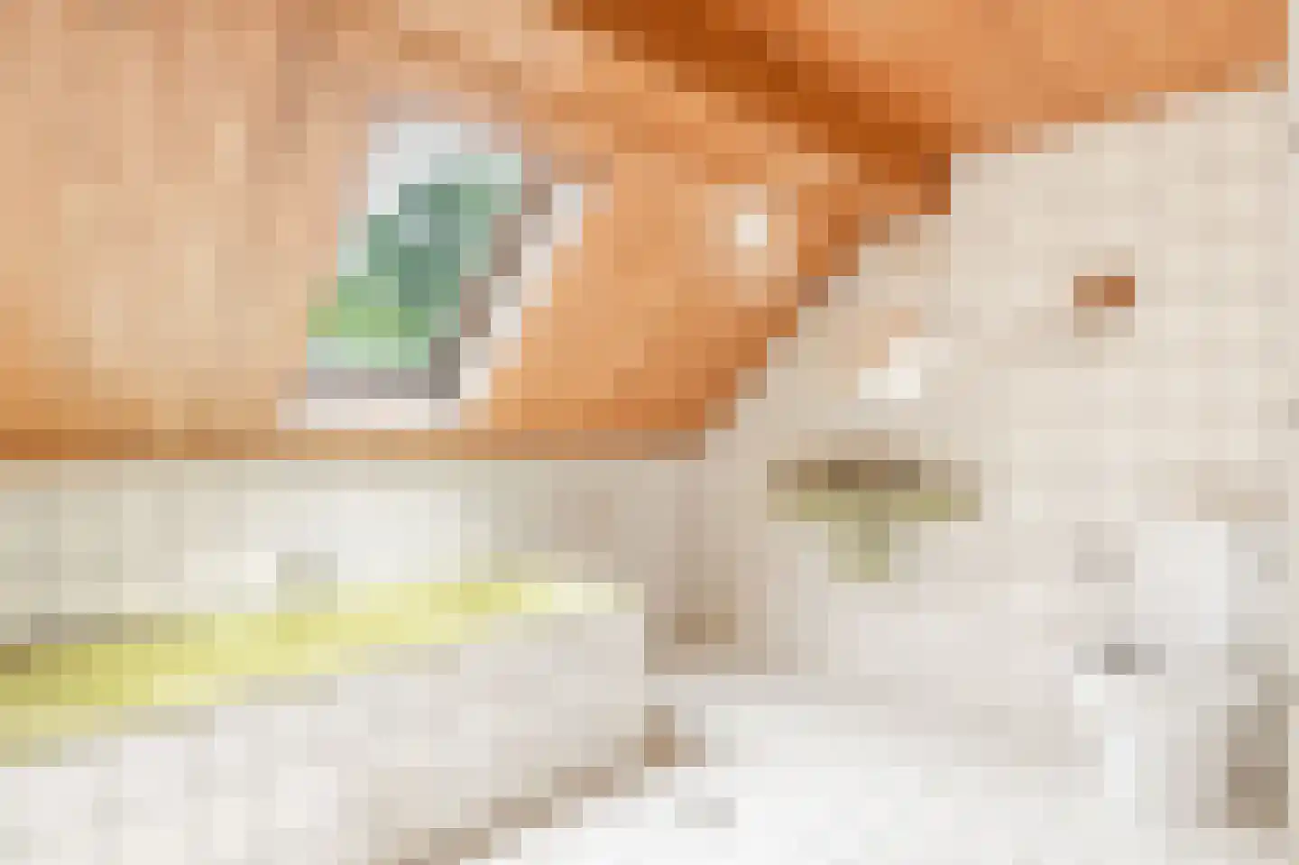 Mepperstraat 25 Meppen thumbnail 5