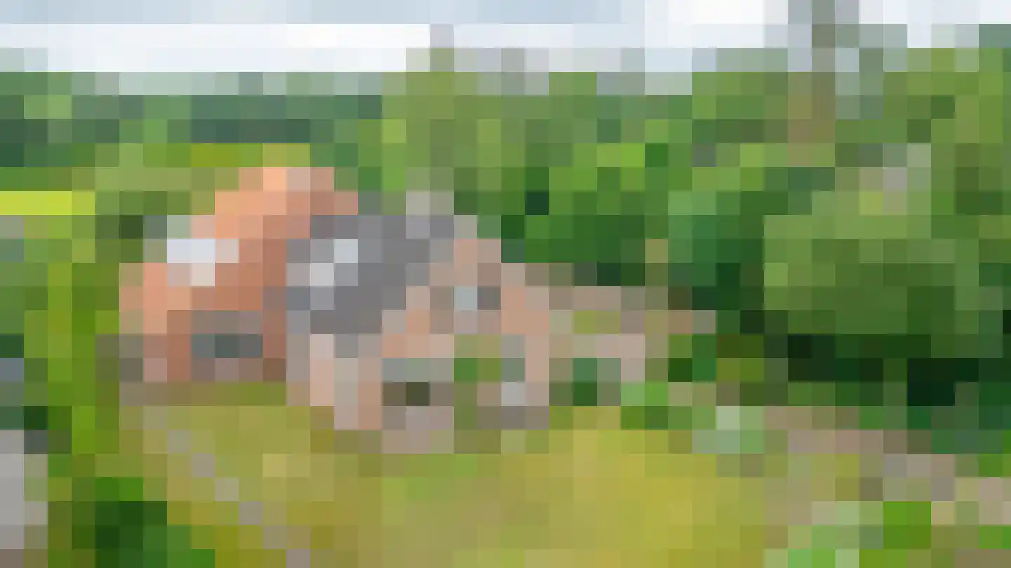 Mepperstraat 25 Meppen thumbnail 6