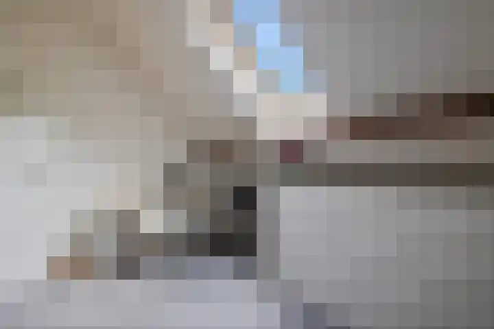 Mepperstraat 34 Meppen thumbnail 43