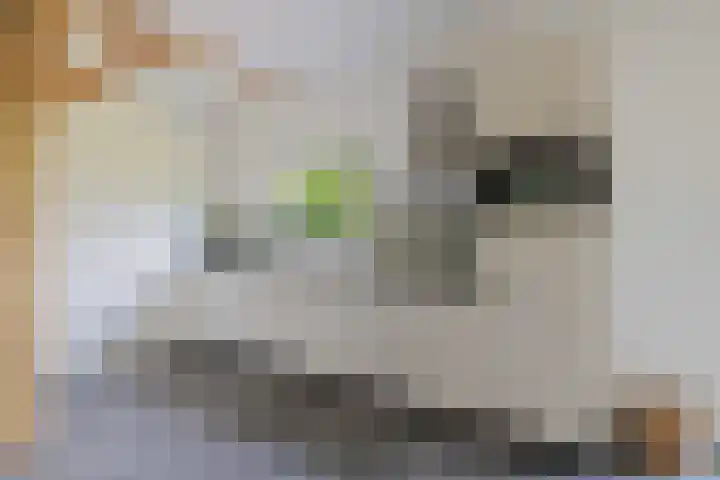 Mepperstraat 34 Meppen thumbnail 58