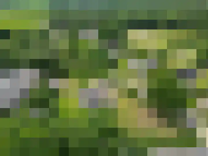 Mepperstraat 34 Meppen thumbnail 69